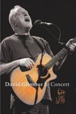 Watch David Gilmour in Concert - Live at Robert Wyatt's Meltdown Vumoo