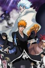 Watch Bleach: The Diamond Dust Rebellion Vumoo