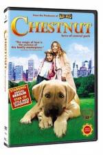 Watch Chestnut - Hero of Central Park Vumoo