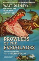 Watch Prowlers of the Everglades (Short 1953) Vumoo