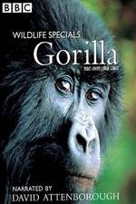 Watch Gorilla Revisited with David Attenborough Vumoo