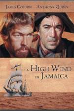 Watch A High Wind in Jamaica Vumoo