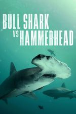 Watch Bull Shark vs Hammerhead Vumoo