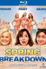 Watch Spring Breakdown Vumoo