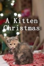 Watch A Kitten Christmas Vumoo