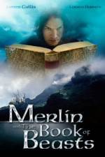 Watch Merlin and the Book of Beasts Vumoo
