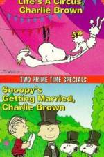 Watch Snoopy's Getting Married Charlie Brown Vumoo