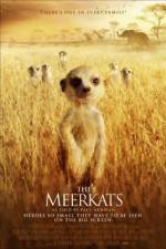 Watch The Meerkats Vumoo