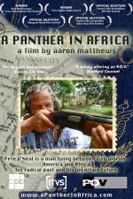 Watch A Panther in Africa Vumoo