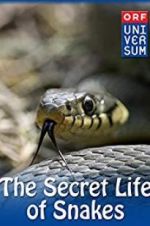 Watch The Secret Life of Snakes Vumoo