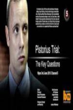 Watch Pistorius Trial: The Key Questions Vumoo