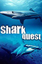Watch Shark Quest Vumoo