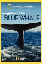 Watch National Geographic Kingdom of Blue Whale Vumoo