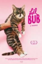 Watch Lil Bub & Friendz Vumoo