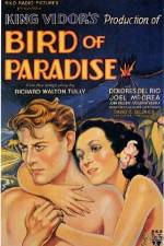 Watch Bird of Paradise Vumoo