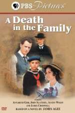 Watch A Death in the Family Vumoo