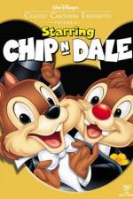 Watch Chip an' Dale Vumoo