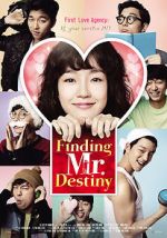 Watch Finding Mr. Destiny Vumoo