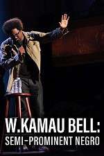 Watch W. Kamau Bell: Semi-Promenint Negro Vumoo