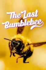 Watch The Last Bumblebee Vumoo