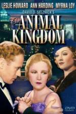 Watch The Animal Kingdom Vumoo