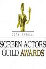 Watch The 20th Annual Screen Actors Guild Awards Vumoo