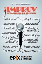 Watch The Improv: 50 Years Behind the Brick Wall (TV Special 2013) Vumoo