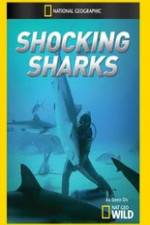 Watch Shocking Sharks Vumoo
