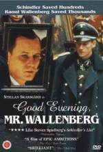 Watch Good Evening, Mr. Wallenberg Vumoo