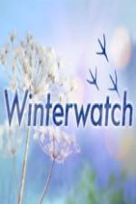 Watch Winterwatch Vumoo