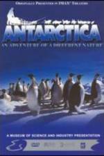 Watch Antarctica Vumoo