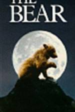 Watch The Bear - (L'ours) Vumoo
