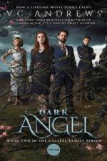 Watch Dark Angel Vumoo