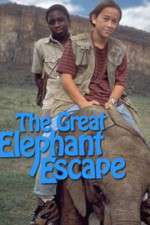 Watch The Great Elephant Escape Vumoo