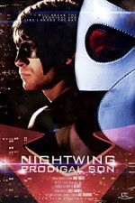 Watch Nightwing Prodigal Son Vumoo