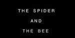 Watch The Spider and the Bee Vumoo