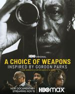Watch A Choice of Weapons: Inspired by Gordon Parks Vumoo