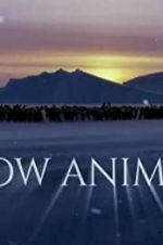 Watch Snow Animals Vumoo