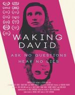 Watch Waking David Vumoo