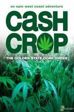 Watch Cash Crop Vumoo