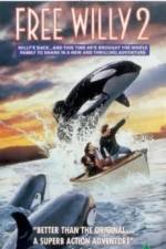 Watch Free Willy 2 The Adventure Home Vumoo