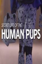 Watch Secret Life of the Human Pups Vumoo