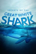 Watch Secrets of the Great White Shark Vumoo