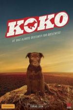 Watch Koko: A Red Dog Story Vumoo