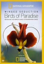 Watch Winged Seduction: Birds of Paradise Vumoo