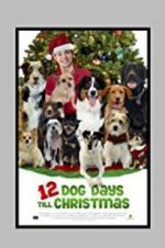 Watch 12 Dog Days Till Christmas Vumoo