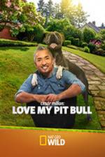 Watch Cesar Millan: Love My Pit Bull Vumoo