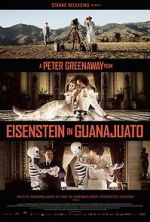 Watch Eisenstein in Guanajuato Vumoo