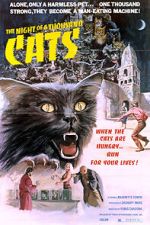 Watch Night of 1000 Cats Vumoo