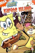 Watch SpongeBob SquarePants Whale of a BirthdayKarate Island Vumoo